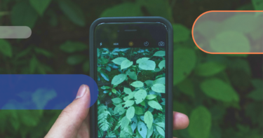 It’s easy being green with the public cloud